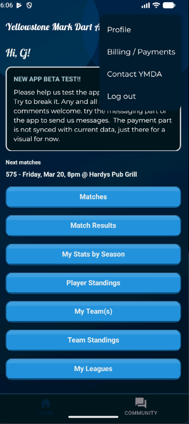 Dart League Pro - Mobile Settings