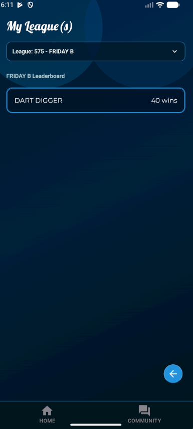 Dart League Pro - Mobile My Leagues