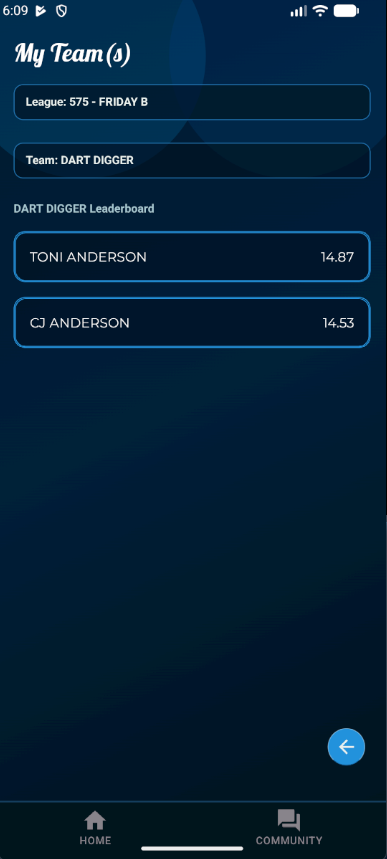 Dart League Pro - Mobile My Teams