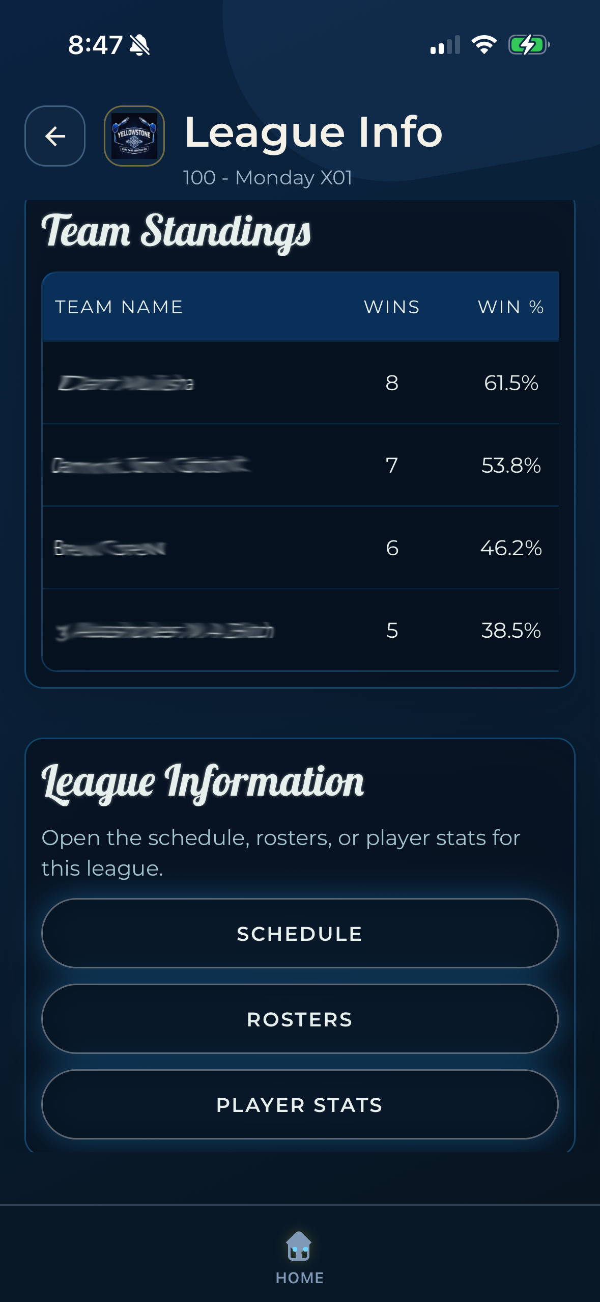 Dart League Pro player league screen